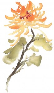 Li fleur grande pétale stage de peinture chinoise